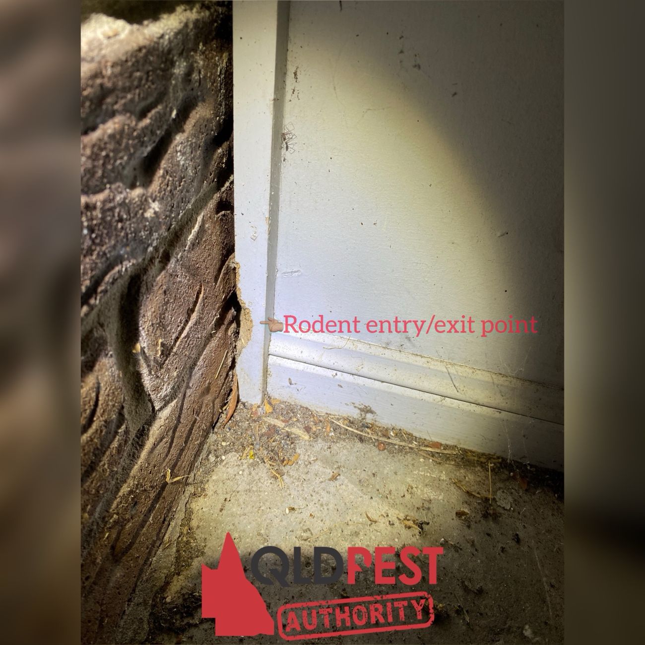 Gap between wall and masonry identified as a possible rodent entry or exit point