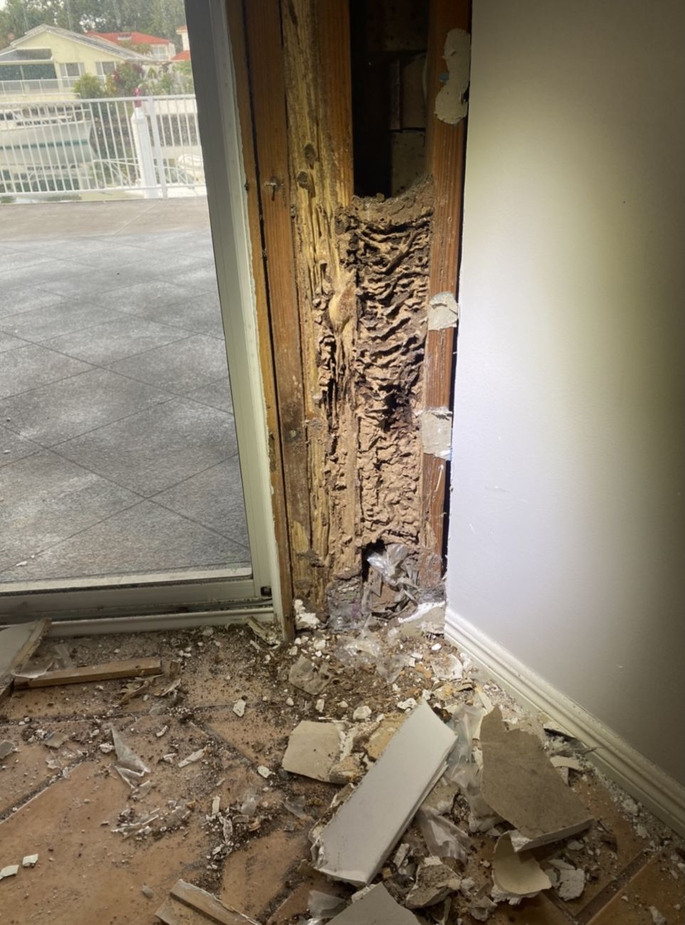 Example of termite-damaged timber inspected during pest management work