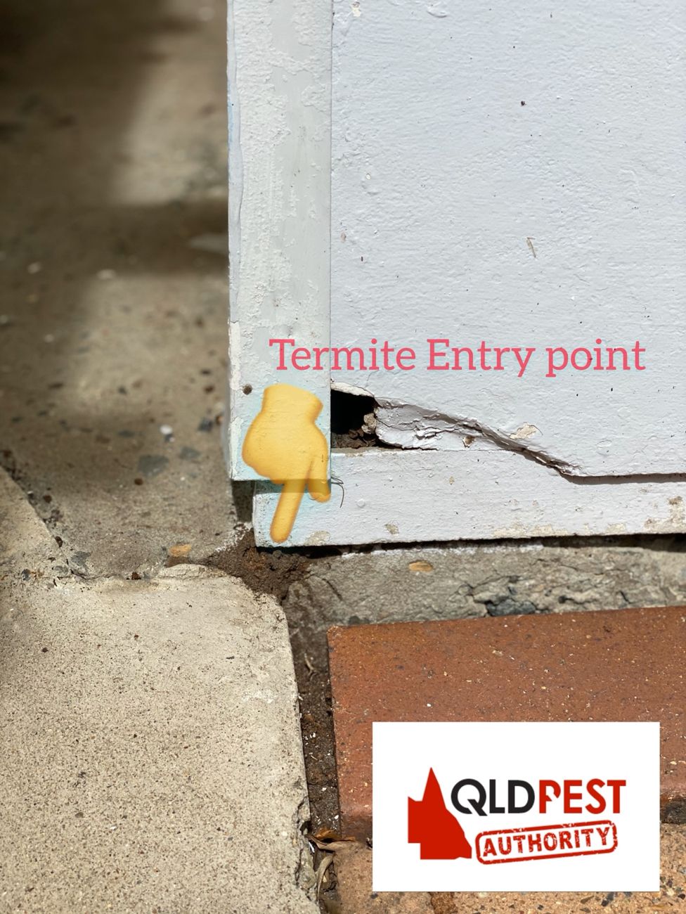 Potential termite entry point photographed at a property